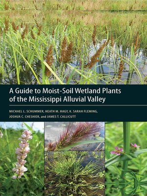 cover image of A Guide to Moist-Soil Wetland Plants of the Mississippi Alluvial Valley
